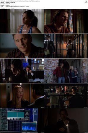 Without A Trace S07 WEBRip EAC3 5 1 1080p x265-iVy