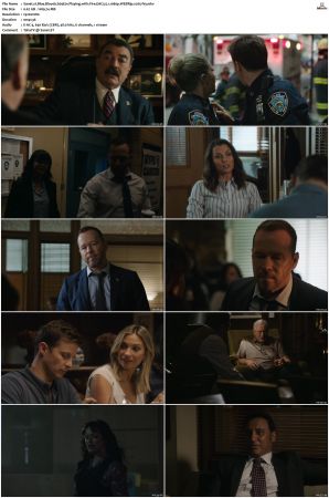 Blue Bloods S09 WEBRip EAC3 5 1 1080p x265-iVy