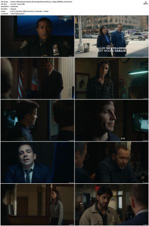 Blue Bloods S13 WEBRip EAC3 5 1 1080p x265-iVy