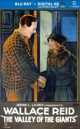 The Valley Of The Giants 1919 1080p BluRay x264-SUP3R