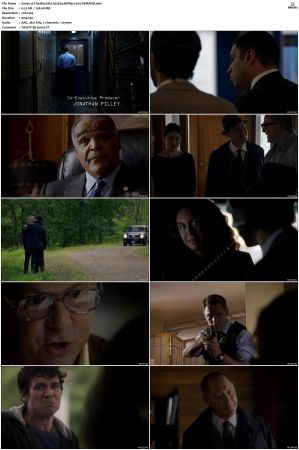 The Blacklist S01-S10 + Redemption DVDRip BDRip x264-Scene