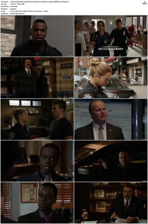 Blue Bloods S05 WEBRip EAC3 5 1 1080p x265-iVy
