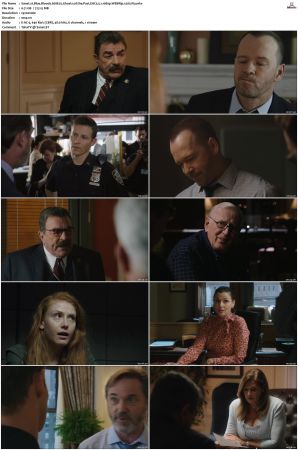 Blue Bloods S08 WEBRip EAC3 5 1 1080p x265-iVy