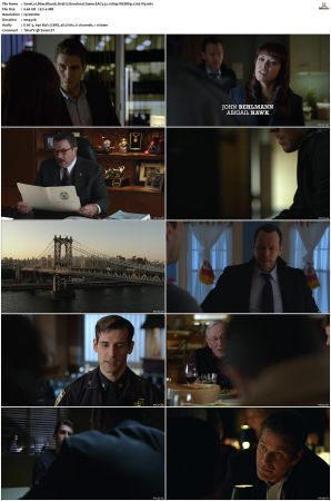 Blue Bloods S04 WEBRip EAC3 5 1 1080p x265-iVy