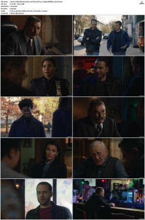 Blue Bloods S13 WEBRip EAC3 5 1 1080p x265-iVy
