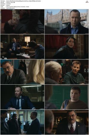 Blue Bloods S11 WEBRip EAC3 5 1 1080p x265-iVy