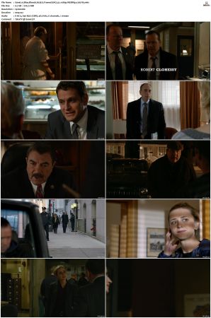 Blue Bloods S03 WEBRip EAC3 5 1 1080p x265-iVy