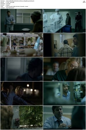 Bloodline S01 Bluray EAC3 5.1 1080p x265-iVy
