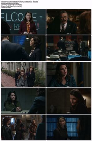 Blue Bloods S14E06 1080p HEVC Opus 5 1-Retr0