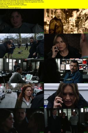 Law And Order SVU S25E09 1080p WEB h264-ELEANOR