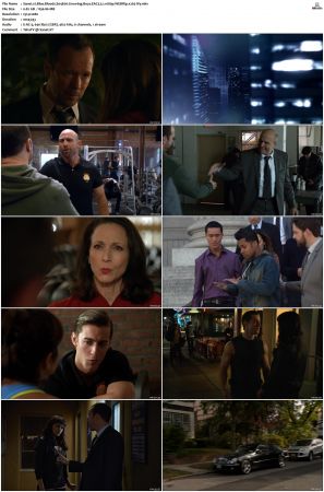 Blue Bloods S04 WEBRip EAC3 5 1 1080p x265-iVy