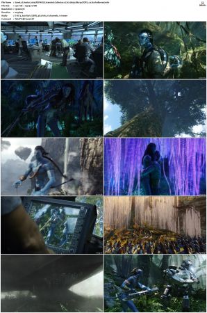 Avatar 2009 REPACK Extended Collectors Cut 1080p Bluray DDP 5.1 x264-hallowed