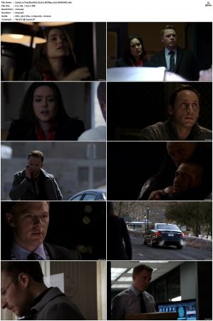 The Blacklist S01-S10 + Redemption DVDRip BDRip x264-Scene