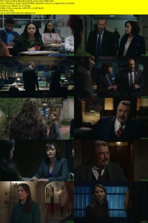 Blue Bloods S14E06 720p x264-FENiX