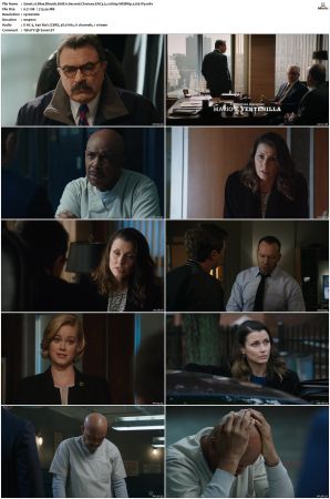 Blue Bloods S08 WEBRip EAC3 5 1 1080p x265-iVy