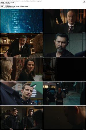 Blue Bloods S09 WEBRip EAC3 5 1 1080p x265-iVy