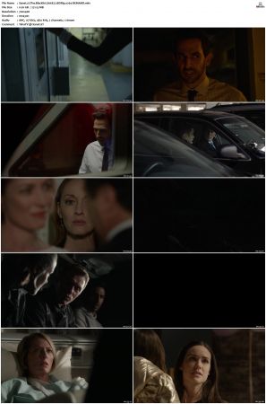 The Blacklist S01-S10 + Redemption DVDRip BDRip x264-Scene