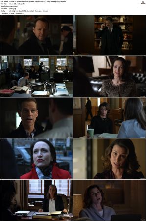Blue Bloods S04 WEBRip EAC3 5 1 1080p x265-iVy