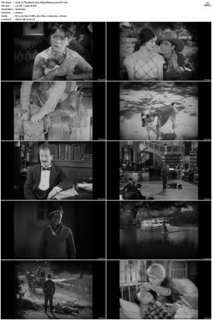 The Boob 1926 1080p BluRay x264-OFT