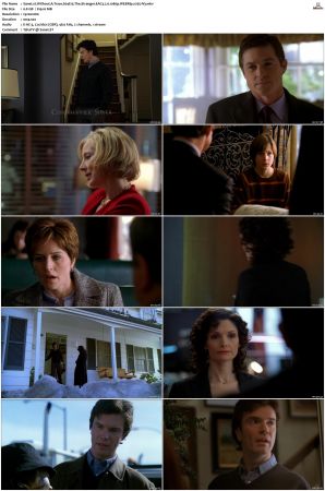 Without A Trace S04 WEBRip EAC3 2 0 1080p x265-iVy