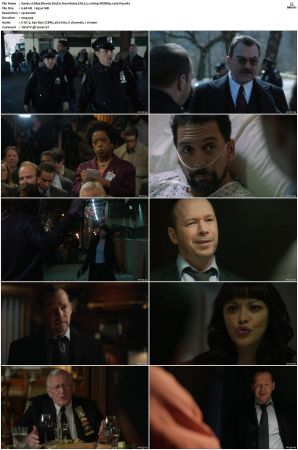 Blue Bloods S05 WEBRip EAC3 5 1 1080p x265-iVy