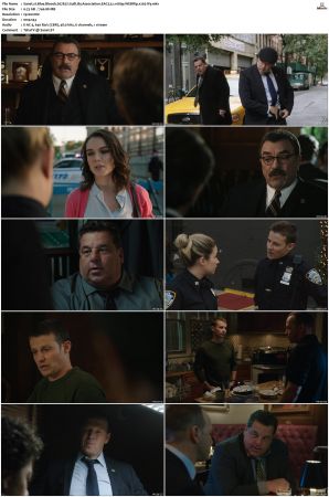Blue Bloods S07 WEBRip EAC3 5 1 1080p x265-iVy
