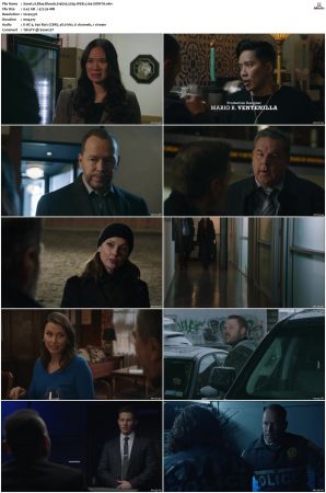 Blue Bloods S14E05 576p WEB x264-SOiNTA