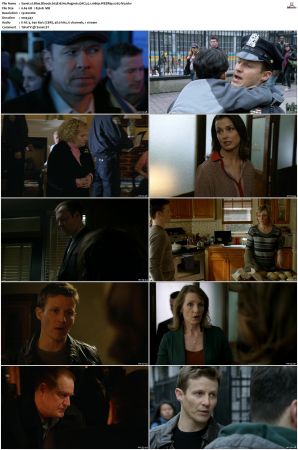 Blue Bloods S03 WEBRip EAC3 5 1 1080p x265-iVy