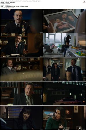 Blue Bloods S08 WEBRip EAC3 5 1 1080p x265-iVy