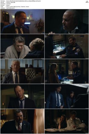 Blue Bloods S13 WEBRip EAC3 5 1 1080p x265-iVy