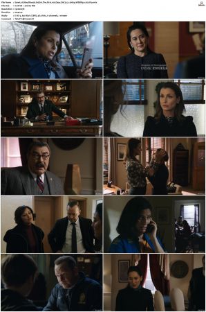 Blue Bloods S10 WEBRip EAC3 5.1 1080p x265-iVy