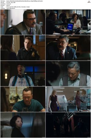 Blue Bloods S10 WEBRip EAC3 5.1 1080p x265-iVy