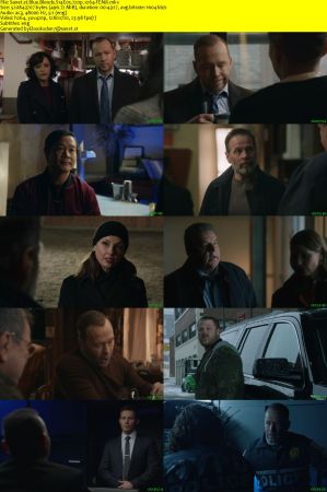 Blue Bloods S14E05 720p x264-FENiX