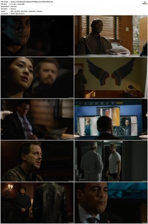The Blacklist S01-S10 + Redemption DVDRip BDRip x264-Scene