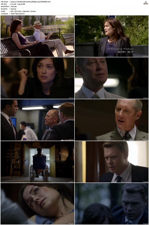 The Blacklist S01-S10 + Redemption DVDRip BDRip x264-Scene