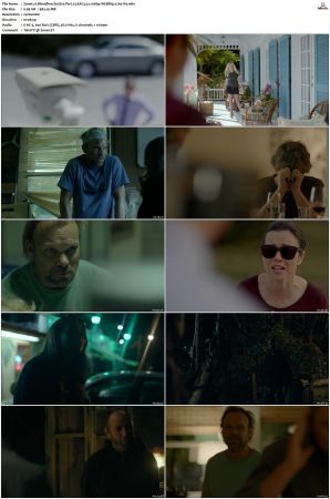 Bloodline S02 WEBRip EAC3 5.1 1080p x265-iVy