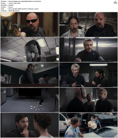 Flypaper 2011 1080p BluRay DDP 5.1 H265-iVy
