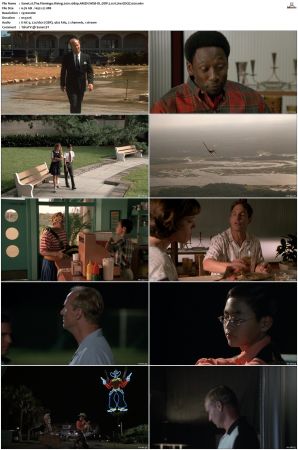 The Flamingo Rising 2001 1080p AMZN WEB-DL DDP 2.0 H264-EDGE2020