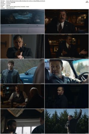 Blue Bloods S11 WEBRip EAC3 5 1 1080p x265-iVy