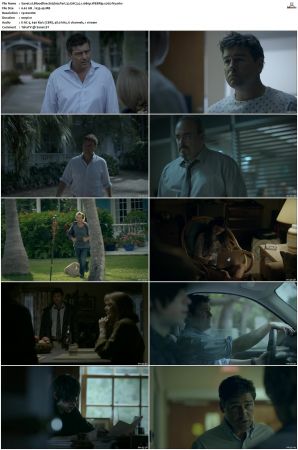 Bloodline S03 WEBRip EAC3 5.1 1080p x265-iVy