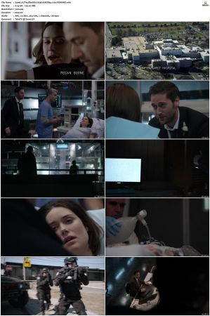 The Blacklist S01-S10 + Redemption DVDRip BDRip x264-Scene