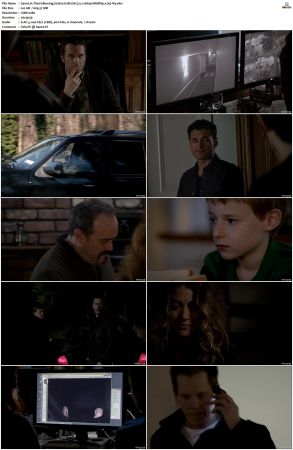 The Following S01 WEBRip EAC3 5 1 1080p x265-iVy