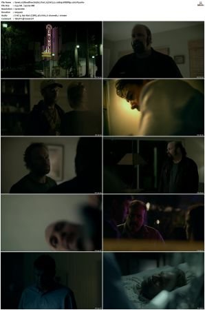 Bloodline S03 WEBRip EAC3 5.1 1080p x265-iVy