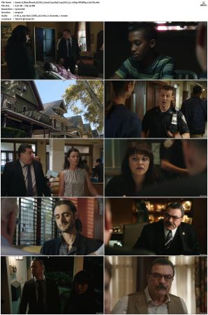 Blue Bloods S07 WEBRip EAC3 5 1 1080p x265-iVy