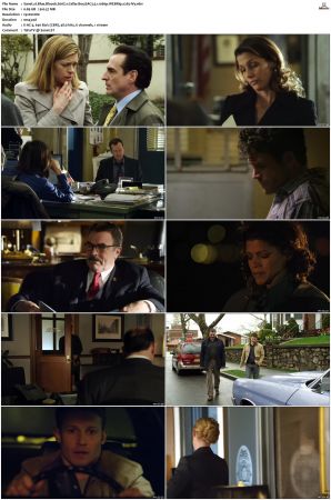 Blue Bloods S01 WEBRip EAC3 5 1 1080p x265-iVy