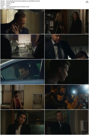 Blue Bloods S12 WEBRip EAC3 5 1 1080p x265-iVy