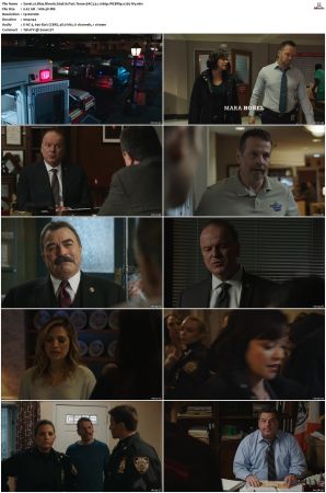 Blue Bloods S09 WEBRip EAC3 5 1 1080p x265-iVy