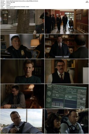 Blue Bloods S05 WEBRip EAC3 5 1 1080p x265-iVy