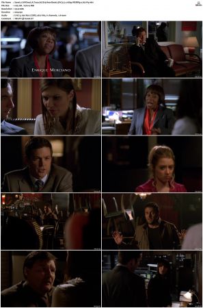 Without A Trace S07 WEBRip EAC3 5 1 1080p x265-iVy