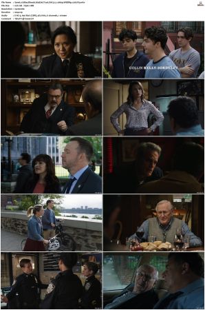 Blue Bloods S09 WEBRip EAC3 5 1 1080p x265-iVy